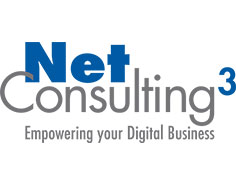 NET CONSULTING CUBE